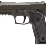 SIG SAUER P226X LEG SAO 4" 9MM 18+1 OR 2 p226xcalegsao4c46