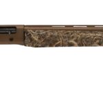 POINTER FIELD 20/28 BRZ/MAX5 2 pointerftbronzerealtreemax535a3