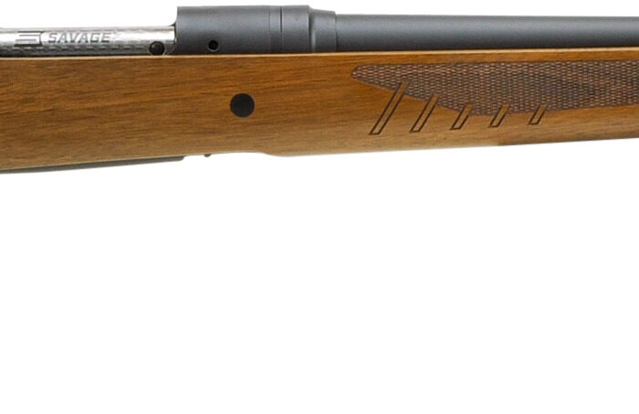 SAVAGE ARMS 110 CLASSIC 270WIN BL/WD 22"
