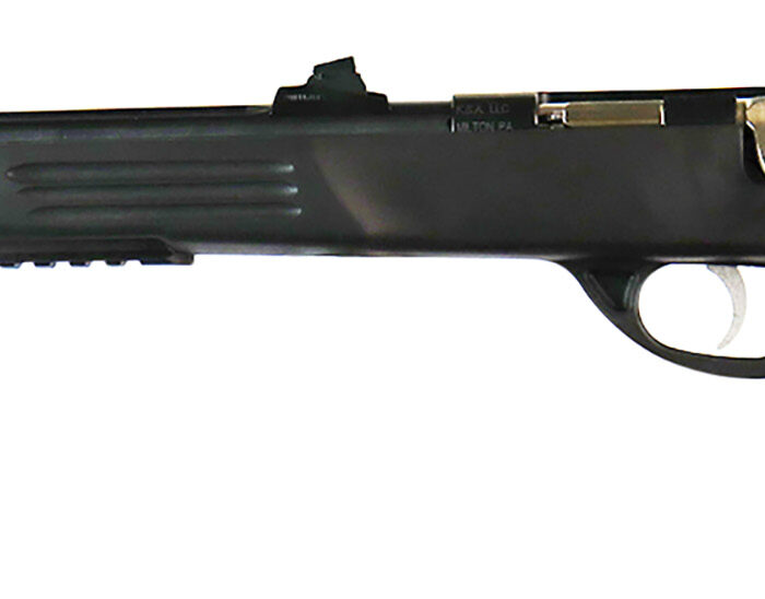 Crickett KSA693 Adult Pistol  22 LR 1rd 10.50" Blued Threaded Barrel w/Cap, Williams Fire Sights, Integrated Picatinny Accessory Rail, Synthetic Grip, Rebounding Firing Pin Safety