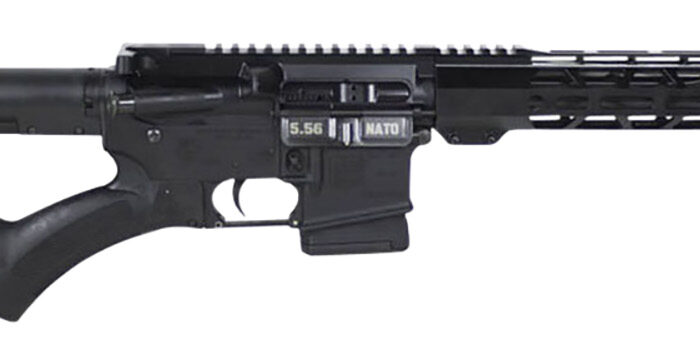 Diamondback DB1796K001 DB15 *NY Compliant 5.56x45mm NATO 16" 10+1 Black Thorsden Featureless GenII FRS-15 Stock Black Magpul MOE Grip Right Hand 12" M-Lok