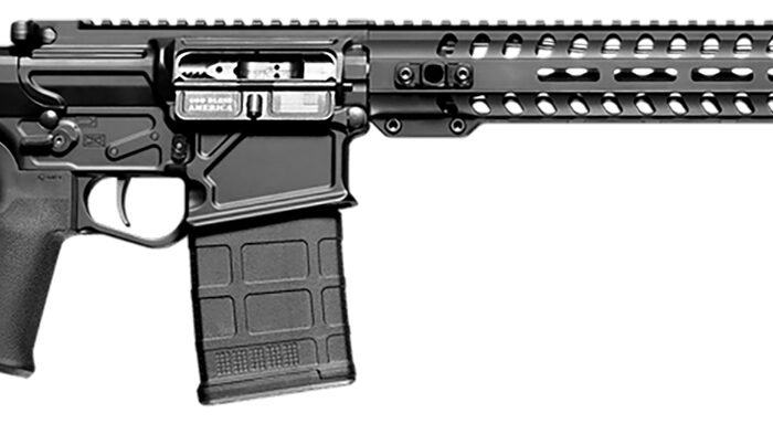 POF 01689 ROGUE DI *CA 16 11M RAIL 308 BLK