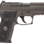 Sig Sauer 226R9LEGIONSAOR2 P226 Full Size Legion SAO 9mm Luger 10+1 4.40", Gray Elite Cerakote, Picatinny Rail Frame, Optic Cut Slide, Black G10 Grip, Flat Trigger, X-Ray Sights 2 149018