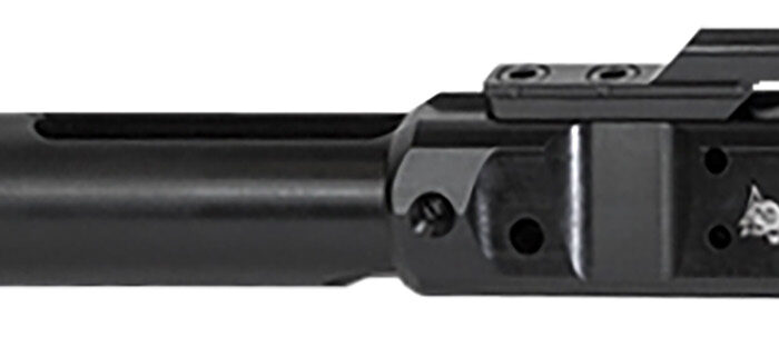 Odin Works ACC308BCG Bolt Carrier Group  Black Nitride AR-10