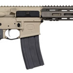 Q SW-556-13IN-PISTOL SUG-WEASL 5.56 13 W/BRACE 2 166687