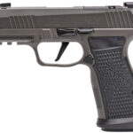 Sig Sauer 365AXGCA9LEGION10 P365 AXG Legion 9mm 10+1 3.10" Compact Frame Legion Gray Cerakote Stainless Steel Slide G-10 Grip 1 169266