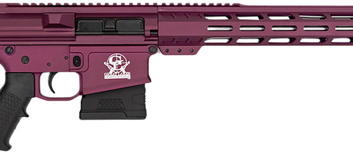 Great Lakes Firearms GL10308SSCHY GLFA  308 Win 10+1 18" AR-10 Stainless Steel Black Cherry