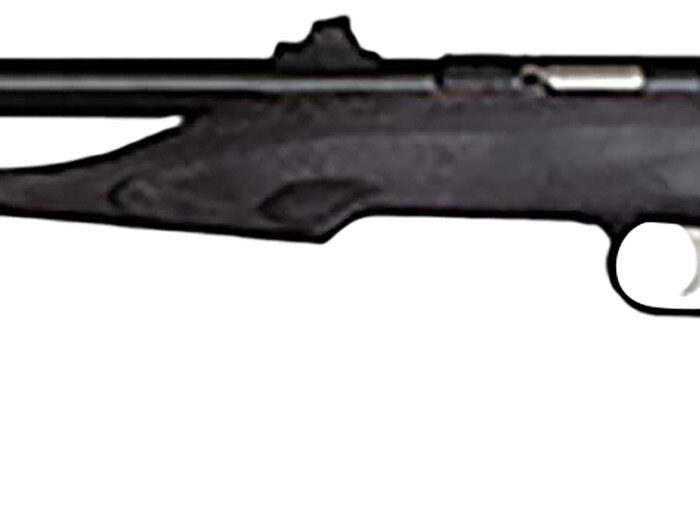 Crickett 41003 Hunter Adult 22 Mag 1rd 9" Threaded Blued Steel Single Shot Barrel, Black Laminate Stock