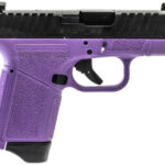 Gforce Arms GF932512PUB Rapture Sub-Compact Frame 9mm Luger 12+1 3.25" Black Steel Barrel, Black Optic Cut/Serrated Steel Slide, Purple Cerakote Polymer Frame 1 180945