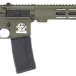 Great Lakes Firearms GL15223ODG AR-15 223 Wylde 30+1 16" Black Nitride Threaded Barrel, OD Green Cerakote Aluminum Receiver w/Picatinny Rail, M-LOK Handguard, Black Polymer Stock, Mil-Spec Grip 2 183059