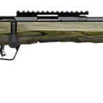 Savage Arms 70851 B Series Full Size 17 HMR 10+1 18" Matte Black Spiral Fluted Threaded Barrel, Matte Black Carbon Steel Receiver w/Picatinny Rail, OD Green Fixed Laminate Stock, Right Hand 1 185222