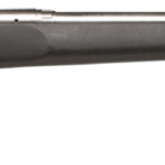 Savage Arms 18147 12 LRPV Full Size 22-250 Rem 1rd 26" Matte Heavy Fluted Barrel, Matte Stainless Steel Receiver w/Picatinny Rail, Matte Black HS Precision w/V-Block Synthetic Stock, Right Hand 1 43539