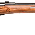 Savage Arms 19141 25 Lightweight Varminter-T 22 Hornet 4+1 Cap 24" Matte Black Rec/Barrel Natural Brown Laminate Fixed Thumbhole Stock Right Hand (Full Size) with Detachable Box Magazine 1 71342