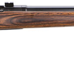 Savage Arms 19738 25 Lightweight Varminter 17 Hornet Caliber with 4+1 Capacity, 24" Barrel, Matte Black Metal Finish & Natural Brown Laminate Stock Right Hand (Full Size) 1 78096