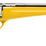 Savage Arms 13805 Rascal Youth 22 LR 1rd 16.13" Matte Black Sporter Barrel, Matte Black Carbon Steel Receiver, Yellow Fixed Synthetic Stock, Right Hand 1 78644