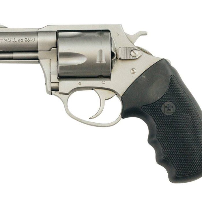 CHARTER ARMS CHARTER PITBULL 40S&W SS 2.3"