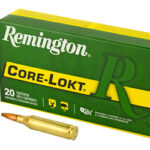 REM 243WIN 100GR PSP CL 20/200 1 REM27802 1