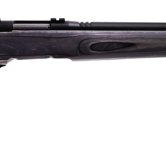 SAVAGE ARMS B.MAG 17WSM BL/LAM HVBBL FLT