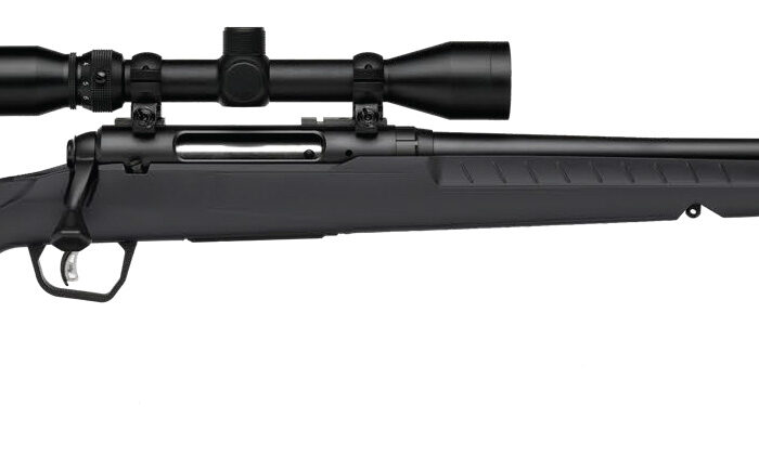 SAVAGE ARMS AXIS 2 400LEG BL/GRY 20" PKG