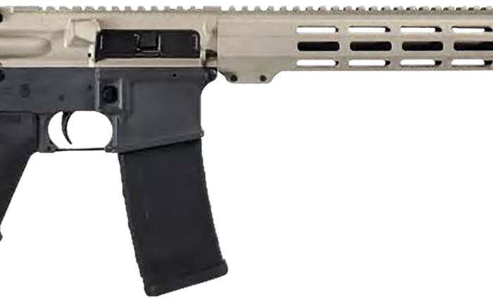 Shark Coast Tactical 300-055-1000-20 Badger 5.56 NATO 30+1 16" Black Nitride Threaded Barrel, Gray & Tan Cerakote Picatinny Rail Aluminum Receiver, Magpul SL-K Black Polymer Stock, Black Polymer Grip 10 179600