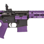 TIPPMANN A101222 M4-22 LTE 22LR 16"25+1 BLK 1 188394