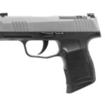 SIG SAUER P365 9MM SS/BLK 10+1 XRAY OR 2 3659sxr3p1508