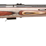 Savage Arms 96770 93R17 BRJ Full Size 17 HMR 5+1 21" Matte Black Spiral Fluted Barrel, Matte Black Drilled & Tapped Carbon Steel Receiver, Royal Jacaranda Monte Carlo Laminate Stock, Right Hand 1 60980