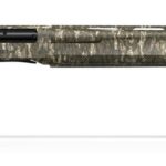 gpsxlbottomlandgpsxlcbtl11920x403acac