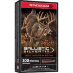 Winchester Ballistic Silvertip Rifle Ammunition .300 Win Mag 180 gr. PT 2950 fps 20/ct 1 https3A2F2Fmedia.chattanoogashooting.com2Fimages2Fproduct2FWNSBST3002FWNSBST300 2