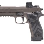 SIG SAUER P226 X-FIVE LEGION 9MM ROMEO-X 1 p226x5legrx6b9b