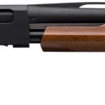 Winchester Repeating Arms 512367603 SXP Field Youth 20 Gauge 22" 5+1 3" Matte Black Rec/Barrel Satin Walnut Stock Right Hand Includes 3 Invector-Plus Chokes 2 101117