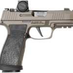 Sig Sauer 365AXGCA9LEGIONRXX P365 AXG Legion ROMEO-X 9mm 17+1 3.10" Compact Frame Legion Gray Cerakote Stainless Steel Slide G-10 Grip 1 169267