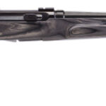 Savage Arms 47005 A17 Target Full Size 17 HMR 10+1 22" Black Heavy Fluted Barrel, High Luster Drilled & Tapped Carbon Steel Receiver, Satin Gray Thumbhole Laminate Stock, Right Hand 2 4442