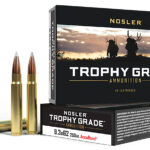 Nosler 48634 Trophy Grade 9.3mmx62Mauser 250gr Nosler AccuBond 20 Per Box/10 Case 2 88236