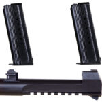 Magnum Research BMCP506 Desert Eagle Mark XIX 8rd 6" Barrel Black 2 95621