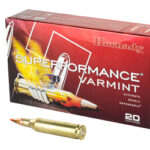 HRNDY SF 243WIN 58GR VMAX 20/200 1 H8343 1