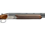 RIZZINI BR220 LIGHT 28/28 BL/WD 2 br220light2b4a
