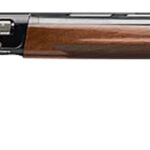 Browning 0119015004 A5 Lightning Sweet Sixteen 16 Gauge 28" Barrel 2.75" 4+1, Gloss Black Barrel & Anodized Receiver, Gloss Turkish Walnut Lightening Style Round Grip Stock 2 134958