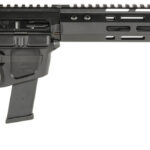 Wilson Combat TRAR9GB91610 AR9G Carbine 9mm Luger 17+1 16" Black Match Grade Threaded Barrel, Black Armor-Tuff Aluminum Receiver, M-LOK Handguard, Black Synthetic Rogers Super-Stoc w/Cam-Lock Stock 2 141956
