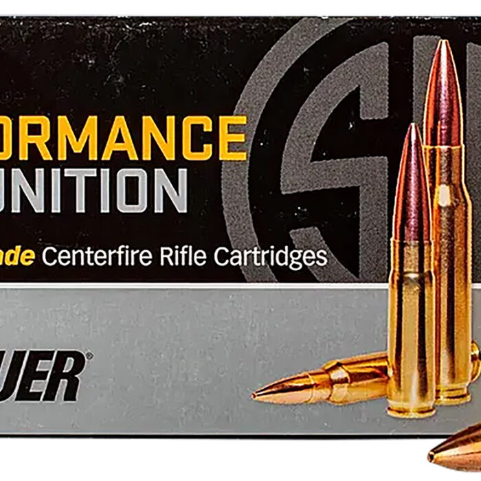 Cart 2 Sig Sauer T300BLK110TTX2 TAC-TX 300Blackout 110gr 20 Per Box/10 Case