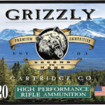Grizzly Ammo GCSUB1 45-70Gov 410gr Full Metal Jacket Flat Point 20 Per Box/10 Case 1 179708