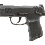 SIG 365X9BXR3PMSMA P365X 9MM OR 10R *MA* 2 192209