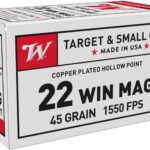 Winchester Ammo USA22M USA Dynapoint 22WMR 45gr Copper Plated Hollow Point 50 Per Box/40 Case 1 68065