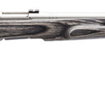 Savage Arms 96972 B.MAG Target Full Size 17 WSM 8+1 22" Matte Stainless Heavy Barrel, Matte Drilled & Tapped Stainless Steel Receiver, Matte Gray Thumbhole Laminate Stock, Right Hand 1 97940