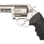 CHARTER ARMS PITBULL 380ACP 3" STS 2 CH73802 1