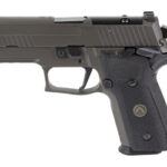 SIG P229 LEGION 9MM 3.9" 10RD GRY SA 1 SG229R 9 LEGION SAO R2 1
