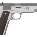 SPRGFLD 45ACP MIL-SPEC STS 5" 7RD 1 SPPBD9151L 1