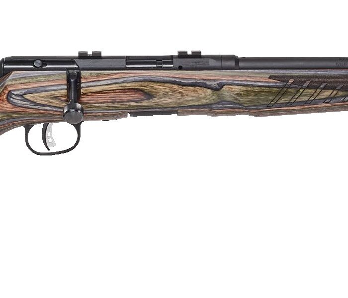 SAVAGE ARMS B22 BNS-SR 22MAG BLK/LAM 18" #