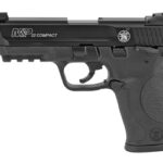 S&W M&P 22LR 3.6" BLK 10RD W/ADPTR 1 SW10199 1