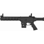 S&W M&P15-22 22LR 16" 10RD BLK CA 2 SW10206 1
